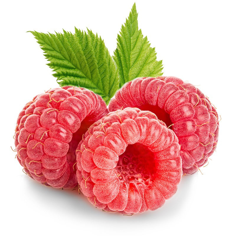 Organic Red Raspberry Seed Oil