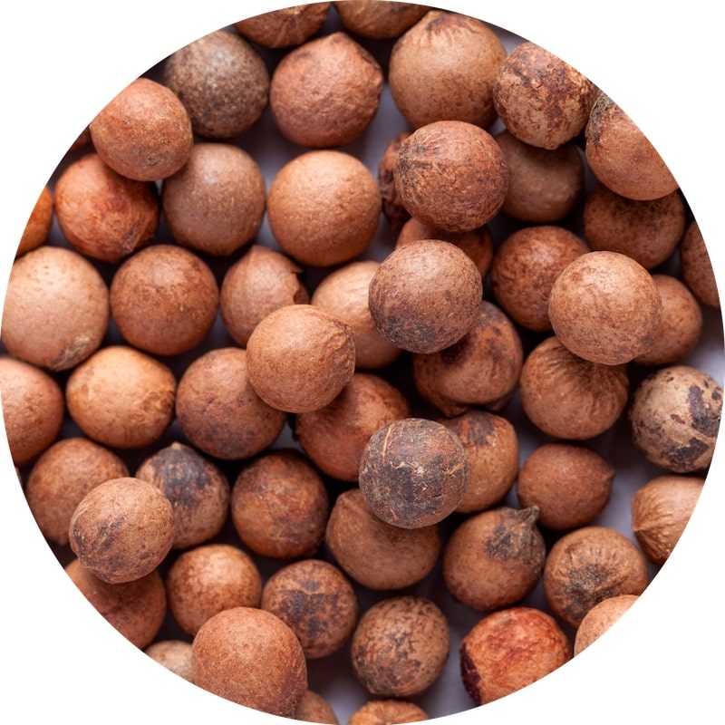 Organic Sandalwood Seed Oil