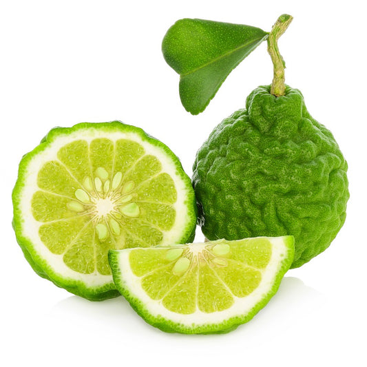 Organic Bergamot Essential Oil