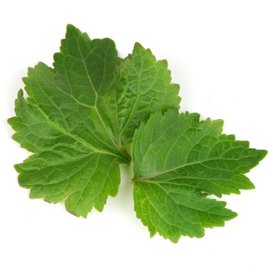 Organic Patchouli Essential Oil